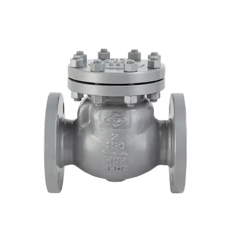 1-palčni nepovratni povratni ventil